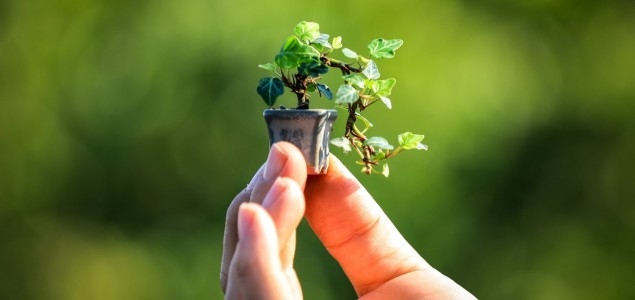 Crise de Coerência Social