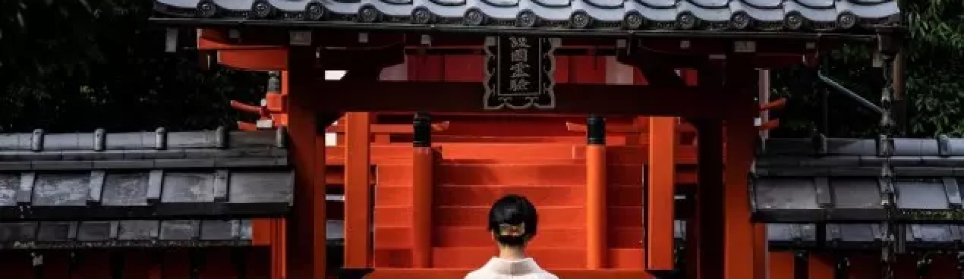 Terapia de Reiki: Busca por uma Visão Profissional