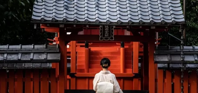 Terapia de Reiki: Busca por uma Visão Profissional