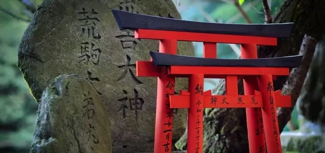 Morte e a Vida: Reavaliar Prioridades