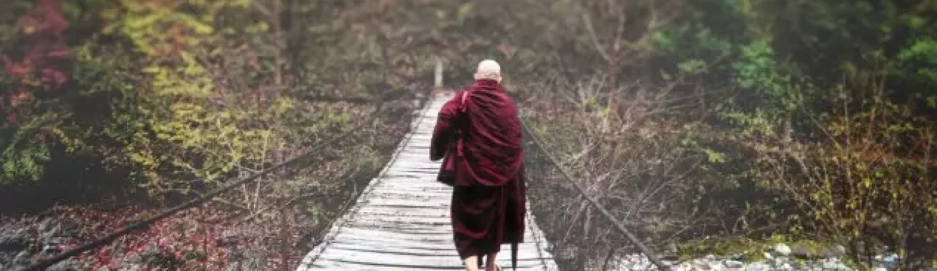 O Que É o Reiki? Uma Definição Completa