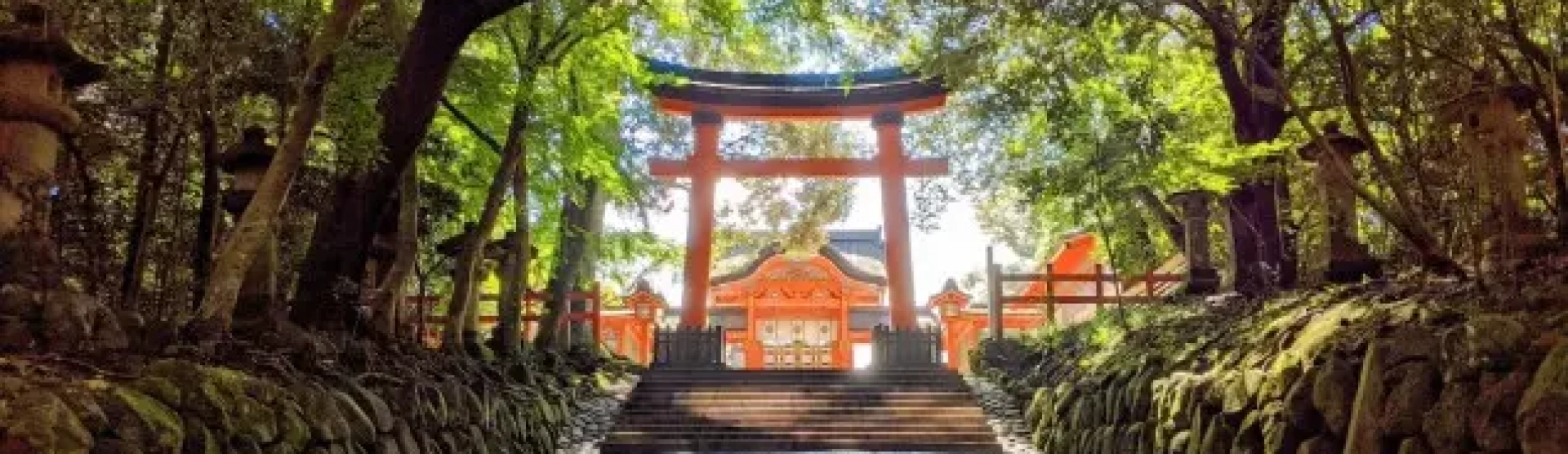 O Futuro do Reiki: Entre a Terapia e a Filosofia