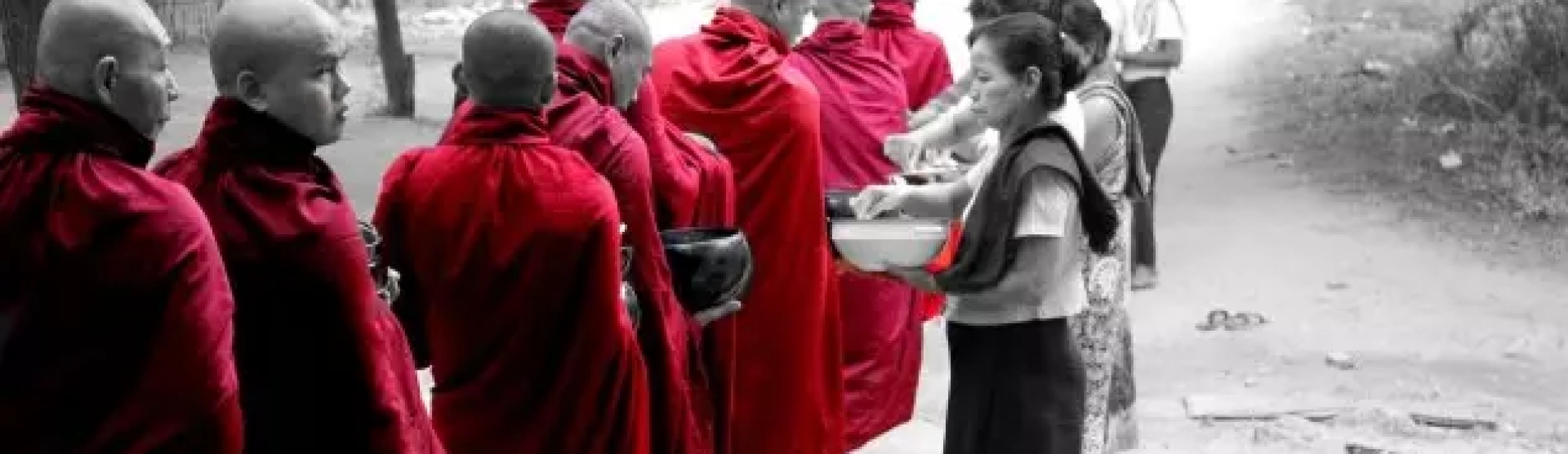 Filosofia de Vida: Nobreza e Tolerância