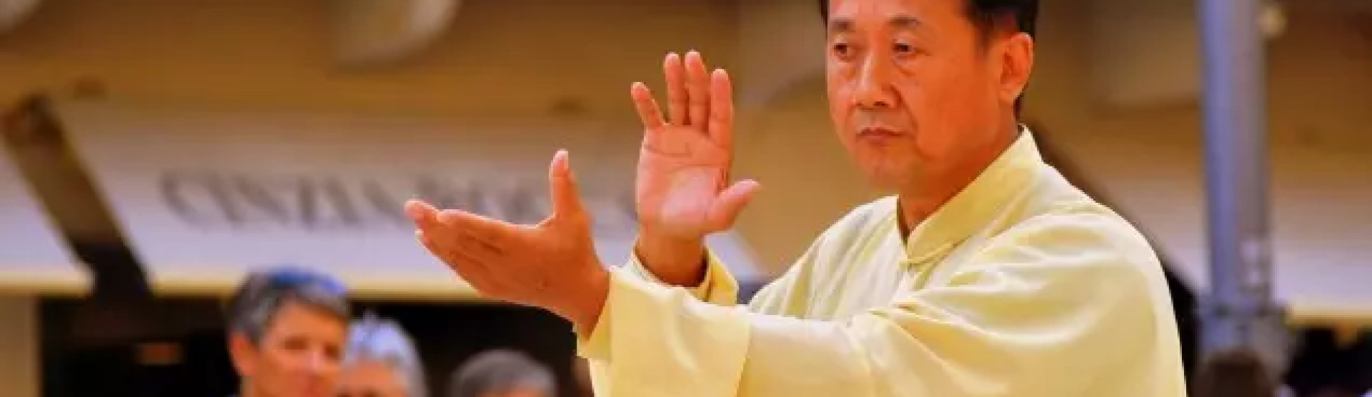 A Energia Interior: "Vampirismo Energético"