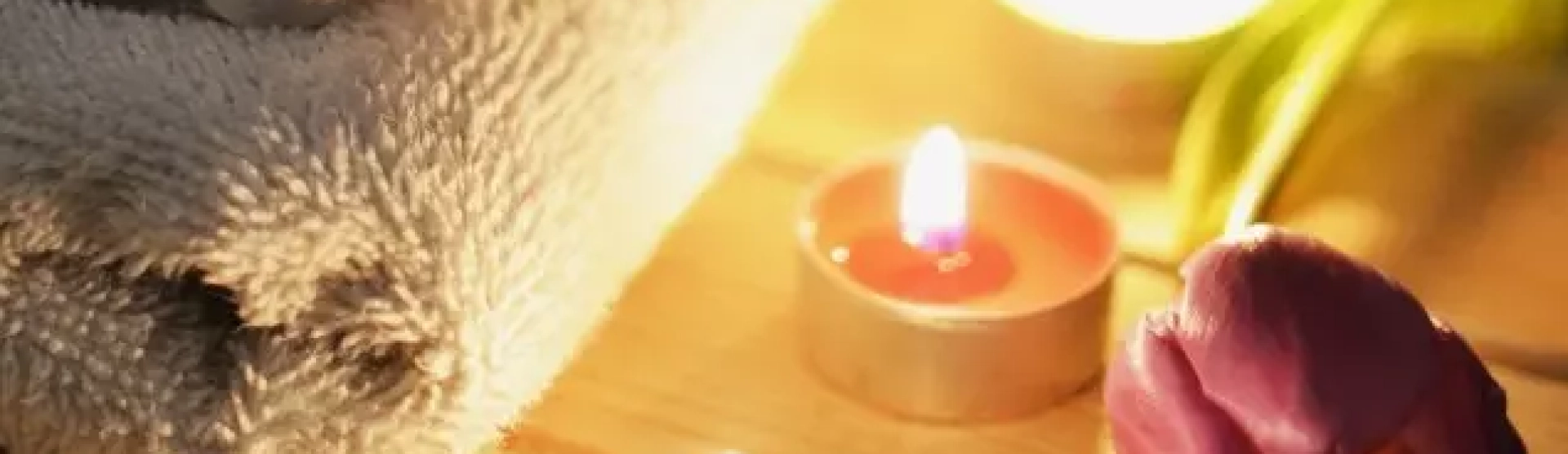 Terapeuta Holístico: A Crítica às Formações Fast Food