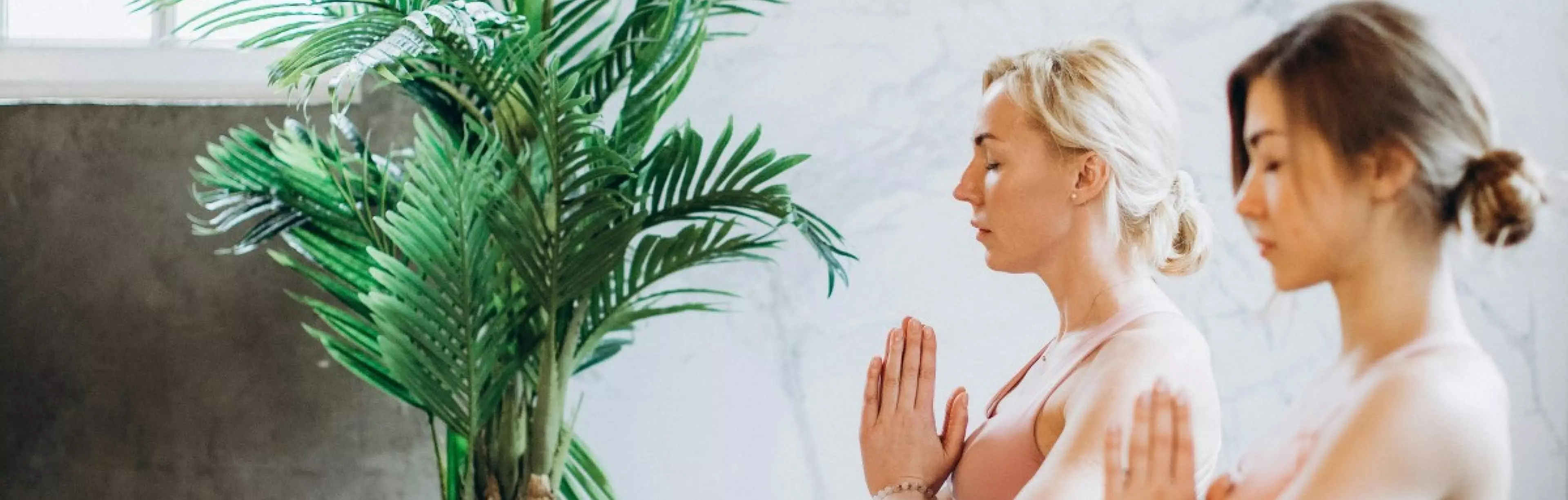 Gendai Reiki formação